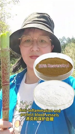 Japanese knotweed (Polygonum cuspidatum) is used to extract resveratrol