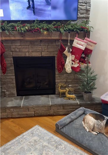 It's beginning to look like Christmas around here! #christmas #christmasdecor