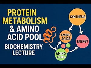 Protein Metabolism | Amino Acid Pool | Biochemistry Lecture | U Satyanarayana Biochemistry Latest Ed