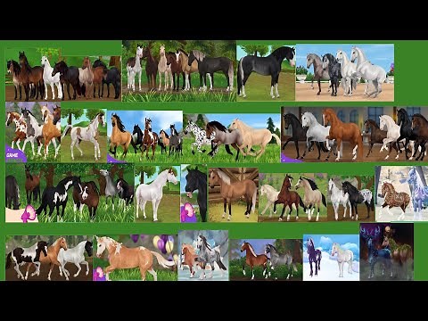 All Horses Released & Top Favorite in Star Stable