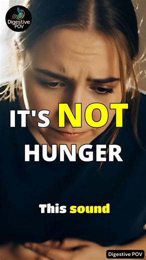 Why Your Stomach Makes Noise (It’s Not Hunger) #digestion #anatomy #health #shorts