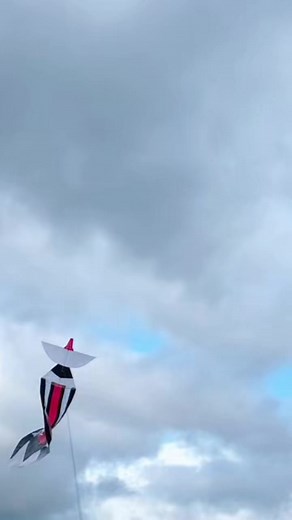 Indonesian Kite Flying Festival