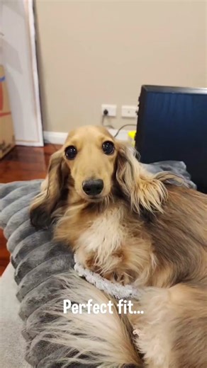 Perfectly Fitting Things Compilation