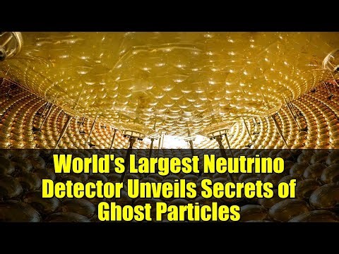 World's Largest Neutrino Detector Unveils Secrets of Ghost Particles | JUNO's Breakthrough