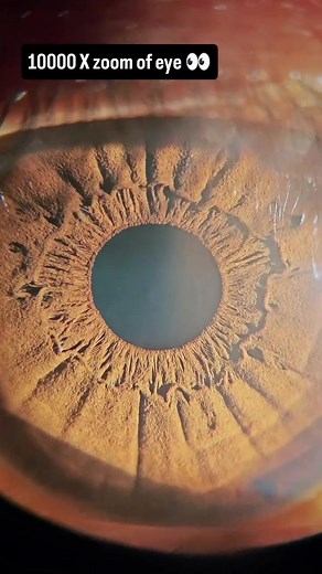 Amazing 10000x Zoom of the Human Eye