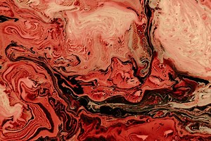 Rare Gallery wallpaper