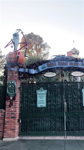 My Normal Experience at Disneyland's Haunted Mansion