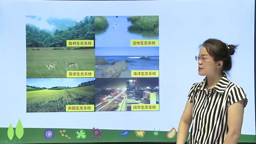 初一生物七年级生物上册（领知识点课件习题 看我动态） 人教版 部编版 统编版