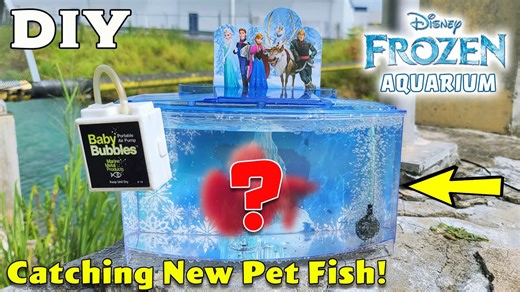 We Made a Frozen Aquarium… Then Caught New Pet Fish!