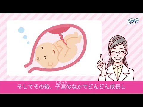 赤ちゃんってどうやってできるの？（妊娠のしくみ） 【ソフィ はじめてからだTV vol.4】
