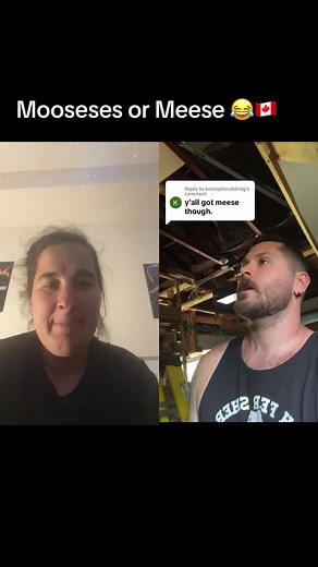 #duet with @kopke613 #canada #moose #meese #fyp I laughed so hard 😂🇨🇦