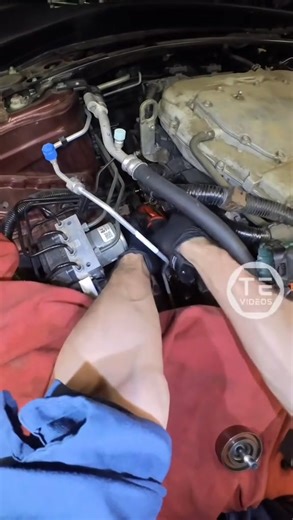 9th Gen Accord Timing Belt Replacement foryabud.com #honda #timingbelt #onthisday Part 35 | TE Videos