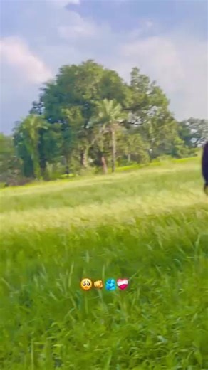 Magnificent Sports Moments to Warm Your Heart