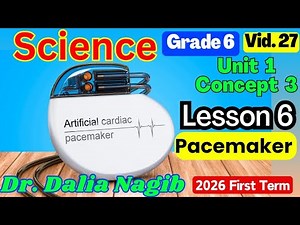 ساينس سادسة ابتدائى ترم اول 𝐆𝐫𝐚𝐝𝐞 𝟔 𝐒𝐜𝐢𝐞𝐧𝐜𝐞 𝐂𝐨𝐧𝐜𝐞𝐩𝐭 𝟑 𝐋𝐞𝐬𝐬𝐨𝐧 𝟔