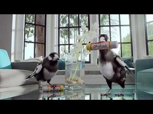 Windex Smudge Stick Commercial (2015)