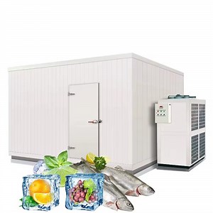 [Hot Item] Fruit Vegetable Cooler Low Cost Cold Storage for Vegetables Avocado Fruit