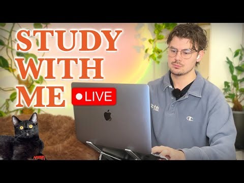 Study With Me LIVE 🚀 14-HOURS — Deep Focus (50/10 Pomodoro) | Cozy UK Rain, No Distractions!