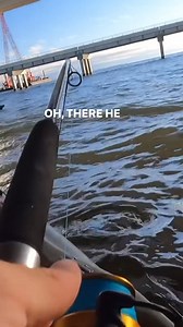 This Crab Hooked A Huge Bridge Monster! | The Lawless Tide