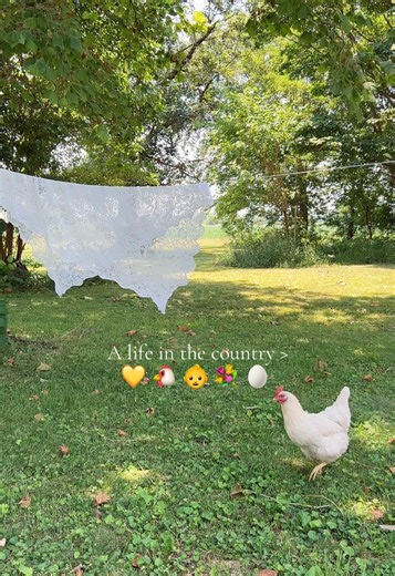 Charming Country Farmhouse: A Dream Home Retreat