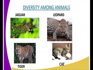 Biology form 4 evidence of evolution, lesson 10