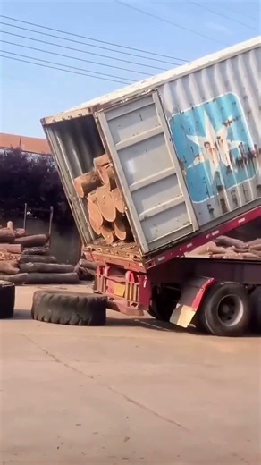 I Could Watch This Log Unloading ALL DAY 😂🪵