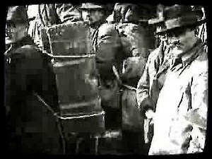 Ellis Island 1892 - 1954