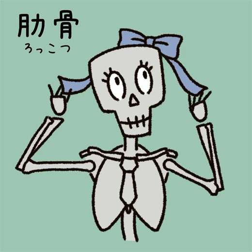 『やさしい解剖学用語　電子版』BOOTHで好評発売中！美術解剖学で使用される用語の由来をわかりやすく解説！ラテン語、ギリシャ語など発端となっている意味を知ると用語がぐっと身近になります✨https://t.co/85rPJD7LYG
