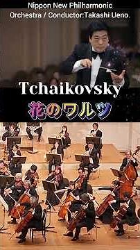 Tchaikovsky/Waltz of the flowers-The Nutcracker チャイコフスキー：花のワルツ『くるみ割り人形』