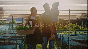 african american family farmer harvesting vegetables from organic farm at greenhouse.Food sustainability,Hydroponics,Organic fresh harvested vegetables,organic vegetable garden,Sustainable agriculture