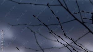 Budding tree branches in Spring against dark clouds