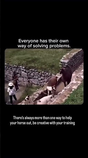 Unlock Creative Horse Training Solutions Learn New Techniques Today #HorseTraining #EquestrianTips