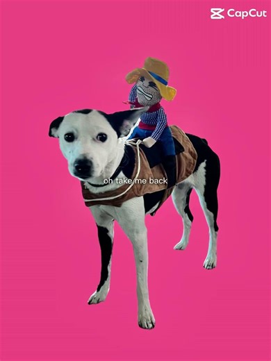 Don’t mind me doing homework in the back lol #naps