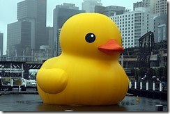 Giant Rubber Duck