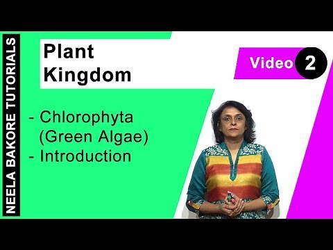 Plant Kingdom | NEET | Chlorophyta Green Algae - Introduction | Neela Bakore Tutorials
