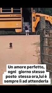 ❤️❤️❤️ | Vincenzo Maurizio Santangelo