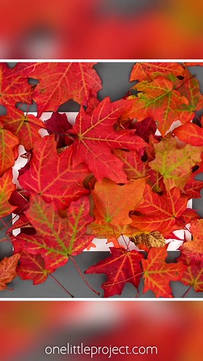 This leaf turkey craft is SO CUTE and easy to make! 🤩 Use real fall leaves and our free, printable template to make this leaf turkey 🦃🍂 It’s a great Thanksgiving craft for kids of all ages, fun for at home or in the classroom. #fallleafcreations #fallcrafts #thanksgivingcraftsforkids #turkeycrafts #craftsforkids #falldiycrafts