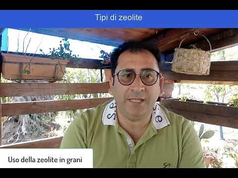 Zeolite chabasite: ecco come usare la zeolite sulle piante di ulivo.