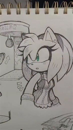 hail gritania on Instagram: "i saw this meme and automatically imagined Amy destroying the feckin punching machine 😤 while Sonic"