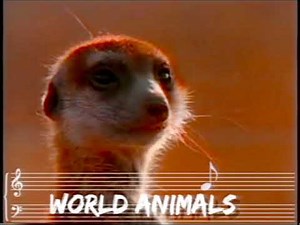 The World Animals Song (Official Video, With Lyrics)