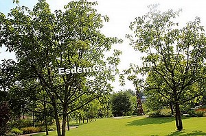 Davidia Involucrata, Boom Met Zakdoeken: Planten En Kweken 🌿 Alles Over Tuinieren En Tuinontwerp - 2025