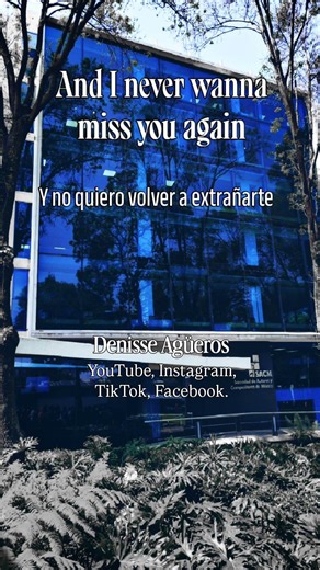 Miss You / Oliver Tree y Robin Schulz (lyrics)