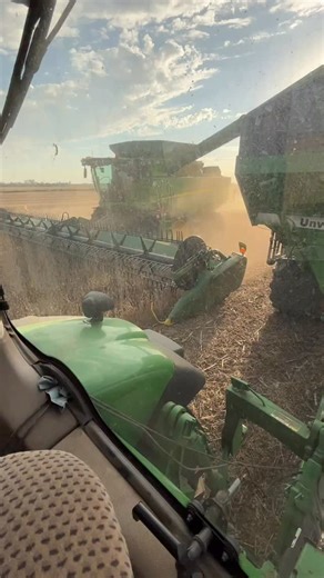 4.1K views · 1.3K reactions | Bean season #sonnefarms #harvest | Sonne Farms | Facebook