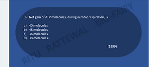 39. Net gain of ATP molecules, during aerobic respiration, isa... | Filo