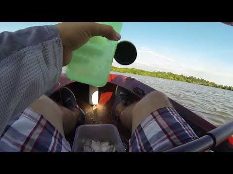 Jug line fishing Lake Livingston (fishing tutorial)