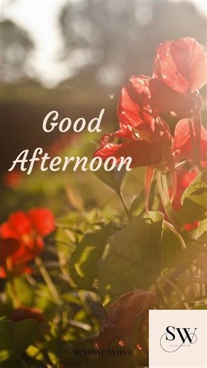Good Afternoon GIF| #goodafternoonstatus WhatsApp Status| @ Silky Wave