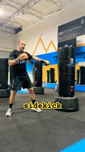 Sidekick Conditioning Drill