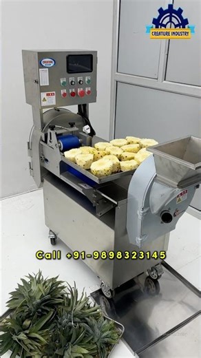 PineApple Fruit Chopping and Slicing Machine | MultiShape Sabji Cutting Machine #chopper #ytshort