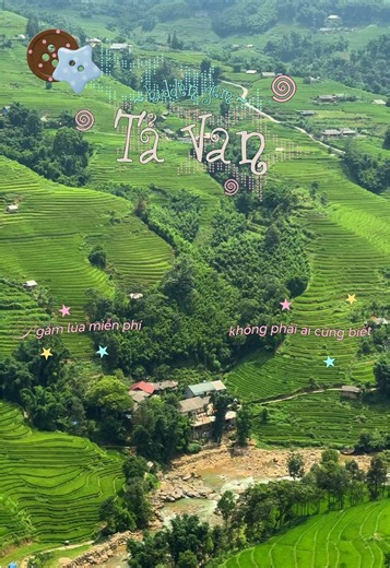 Hidden gem ngắm lúa miễn phí ở Tả Van, Sa Pa