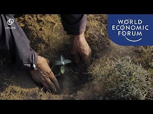 This app lets people earn money by growing trees | Ways to Change the World