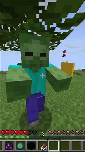 Enderman VS Zombie💪